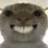 catSmileGrin