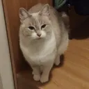 b3ea359129ec47379a85b2b043b4260e