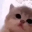 Chipichipichapachapa