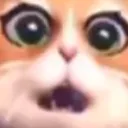 Suprised_Cat_Face_meme