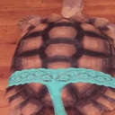 MS_Tortuga Discord emoji