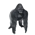 HarambeSpin