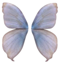 00_sznbutterfly Discord emoji