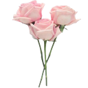 00_sznflowers Discord emoji