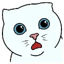 meow