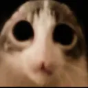 sad