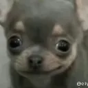 emoji_23