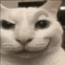 catsmirk
