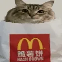 hashcat