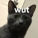 wut