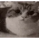 michiexplota