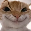 emoji_37 emoji_37