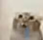 drooling Discord Emoji - COMMEZARS
