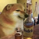 Shiba Inu dog sitting next to a bottle of beer with a relaxed expression.