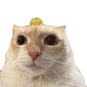 grapestare