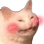 :blushcat: