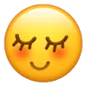 swechatflutter