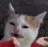 :wtfisthis: wtfisthis