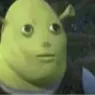 shronk shronk
