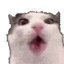 cronch_cronch