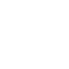 :input: