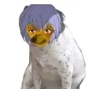 amm