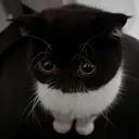 ok