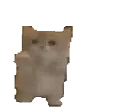 kit_wahoo