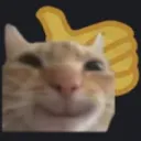 cat_thumb_up