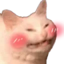CattoBlush