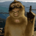 monkeythinks