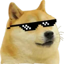 doge