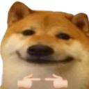 dogeShy Discord emoji