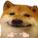 dogeShy