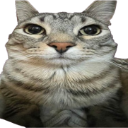 staringremovebgpreview1 custom emote - The Boneyard 20+