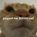 paypalme Discord Emoji | The Boneyard 20+