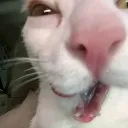 mwuhahahahah mwuhahahahah