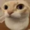 drugoi_huh