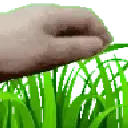 touchgrass