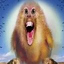 creature creature