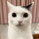 staresatyou