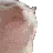 Cat_shake