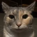 stare