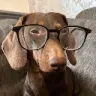 dachselsmart