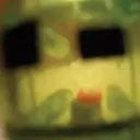 BRUH