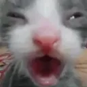 huuuiguhuh
