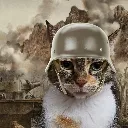 warsandy