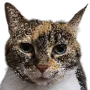 sandystare