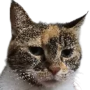 sandyjudge sandyjudge