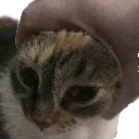 sandyWHY